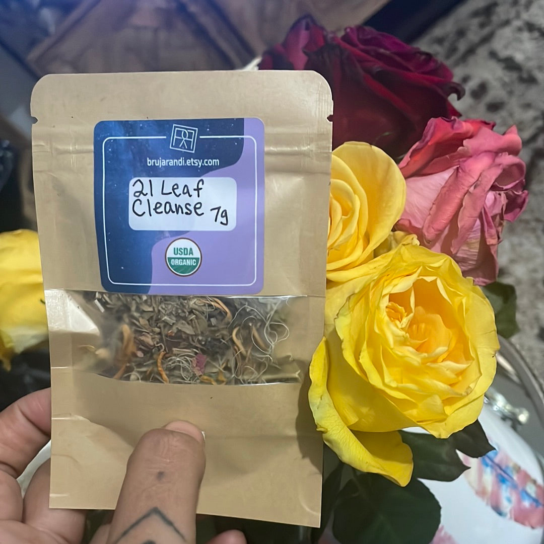 Alkaline 21 Leaf Cleanse Herbal Tea Detox 100% Cotton Bags with Copper