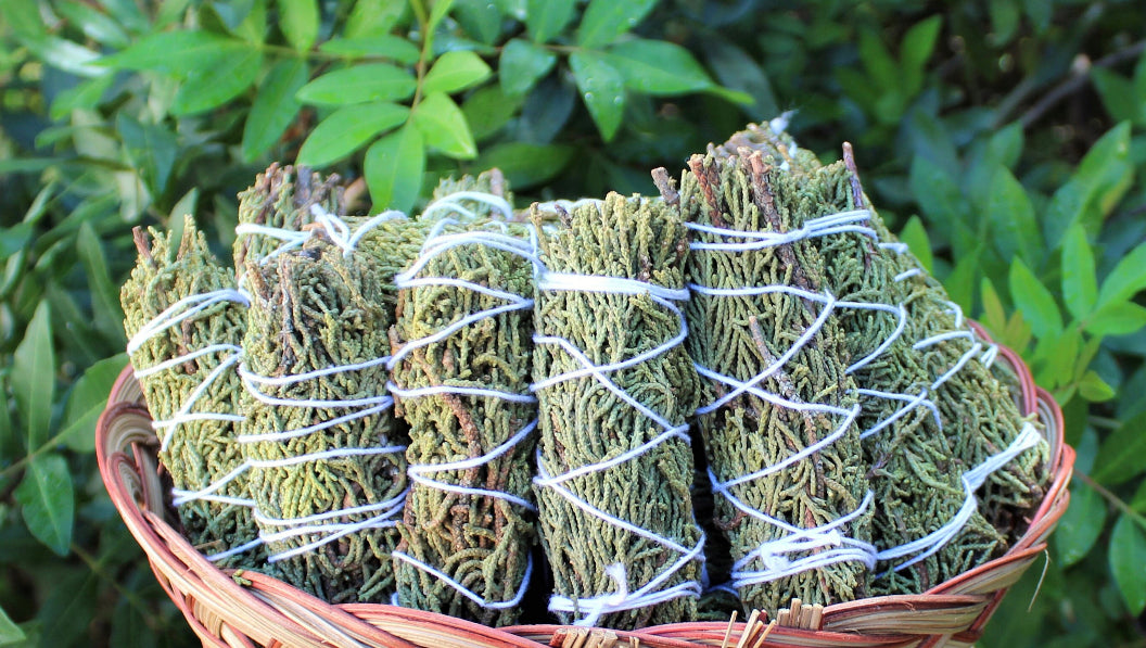 Alkaline Juniper Bundle