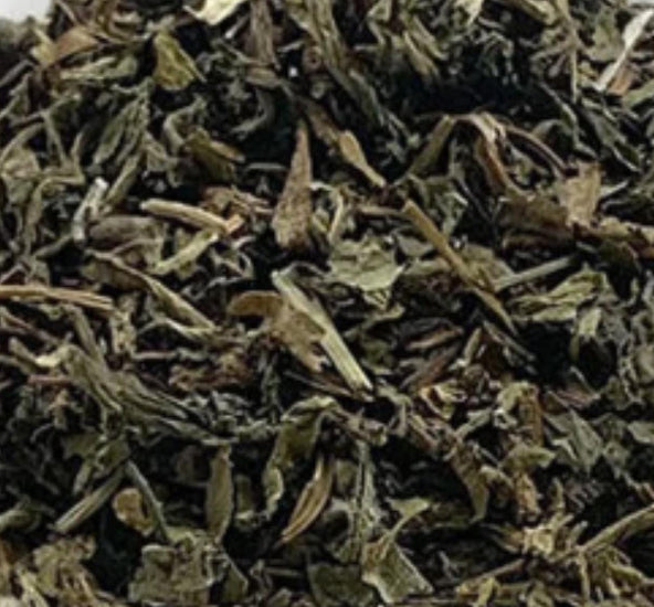 Alkaline Wild Epazote / Semi Contra from a Quiché village in Guatemala 🇬🇹