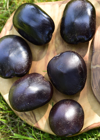 Alkaline Uyai (African Dream Bean / Monkey Ladder / Entada Rheedii)