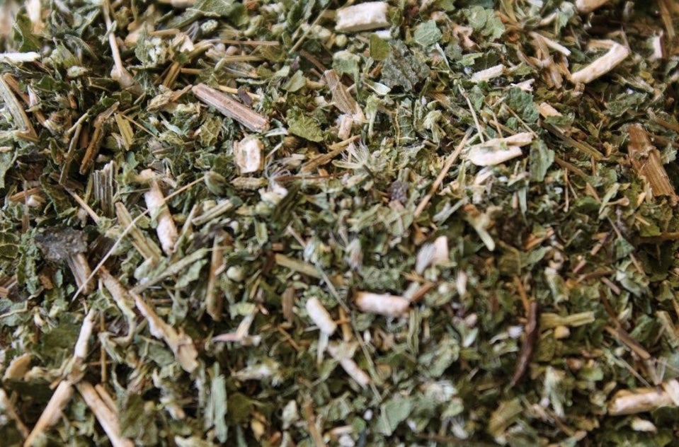 Alkaline Boneset / Ague Weed / Eupatorium Perfoliatum