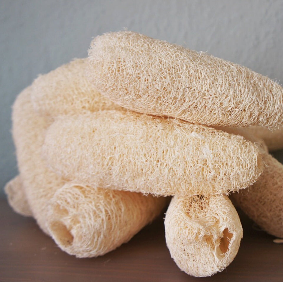 Alkaline Luffa Sponge