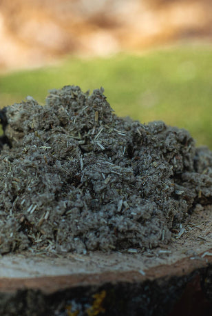 Alkaline Ceremonial Imphepho (African Sage) / Helychrisum Odoratissmum for Protection and Dreams