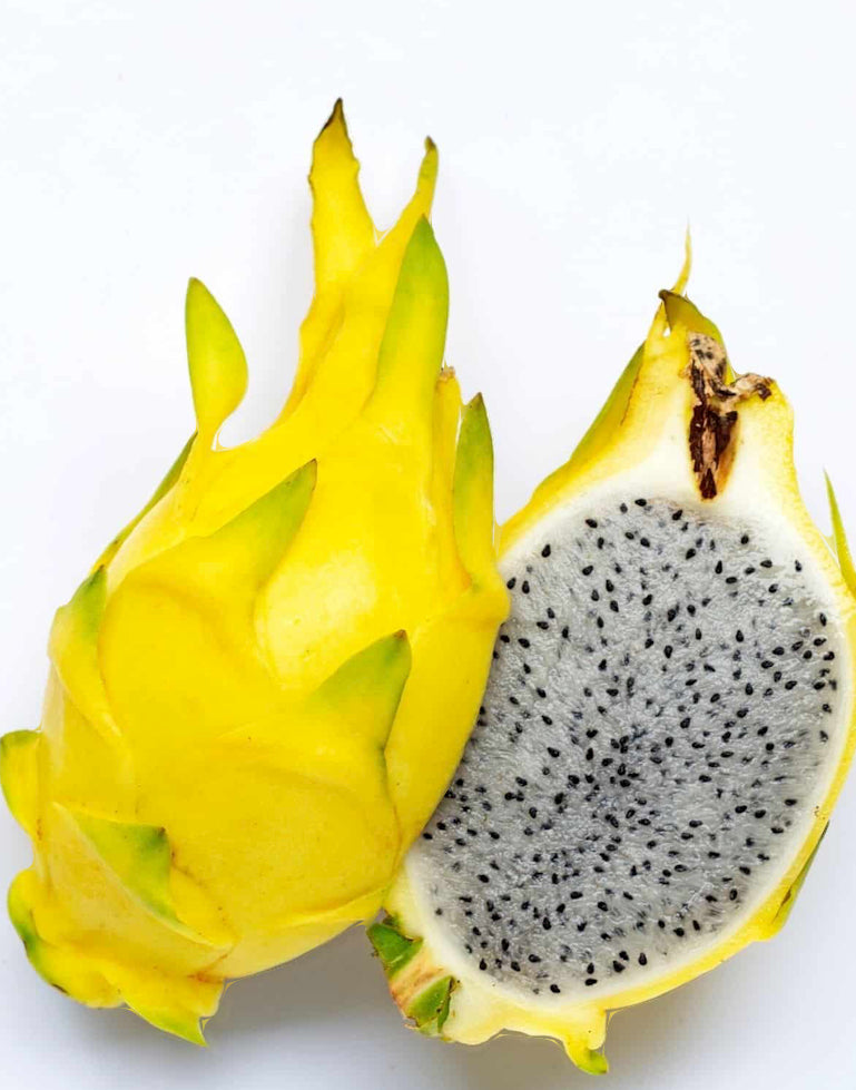 Alkaline Yellow Dragon Fruit Seedling Rooted Plant
