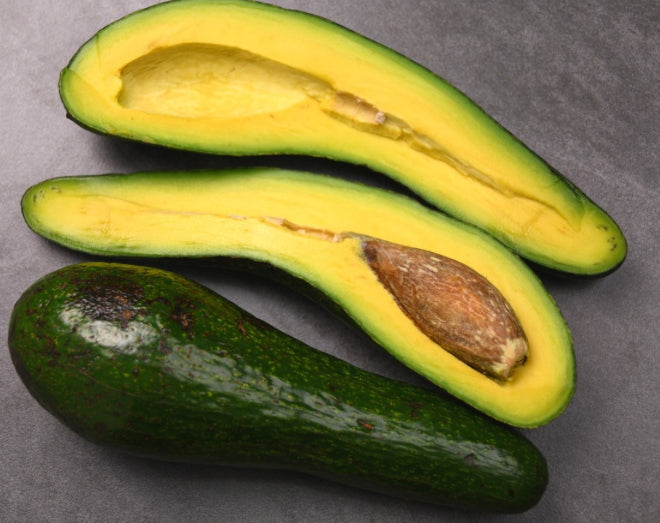 Alkaline Long Neck Avocado Potted Tree from Guatemala 🇬🇹 🪴🌴🥑