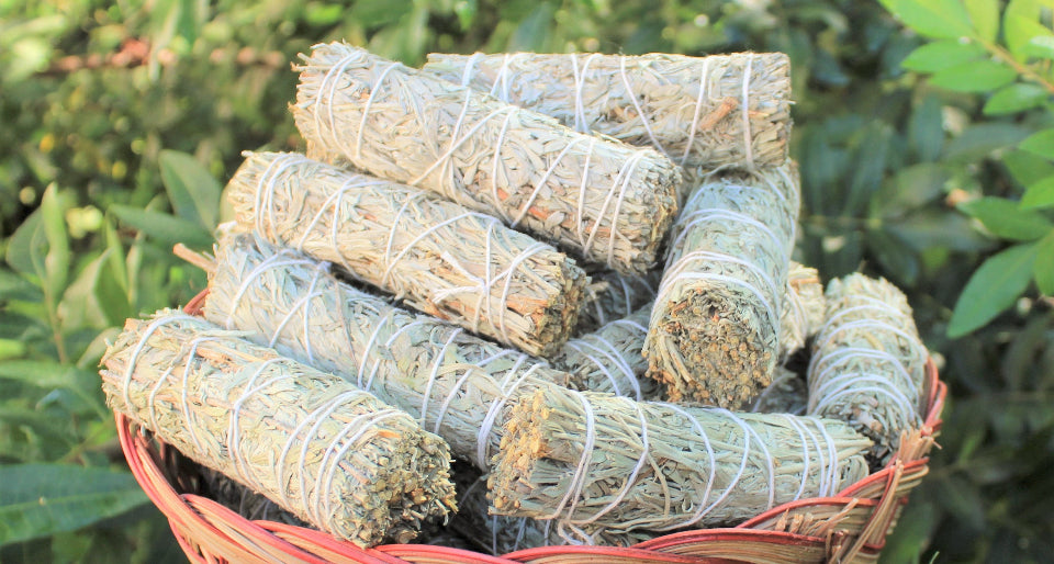 Alkaline Blue Sage Bundle