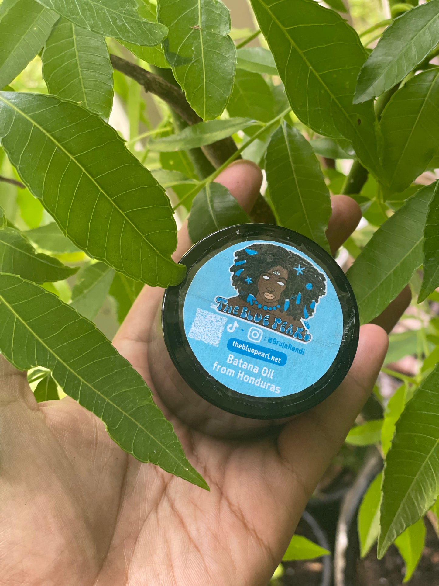Alkaline Batana Oil from Dr. Sebi’s nephew in Honduras 🇭🇳