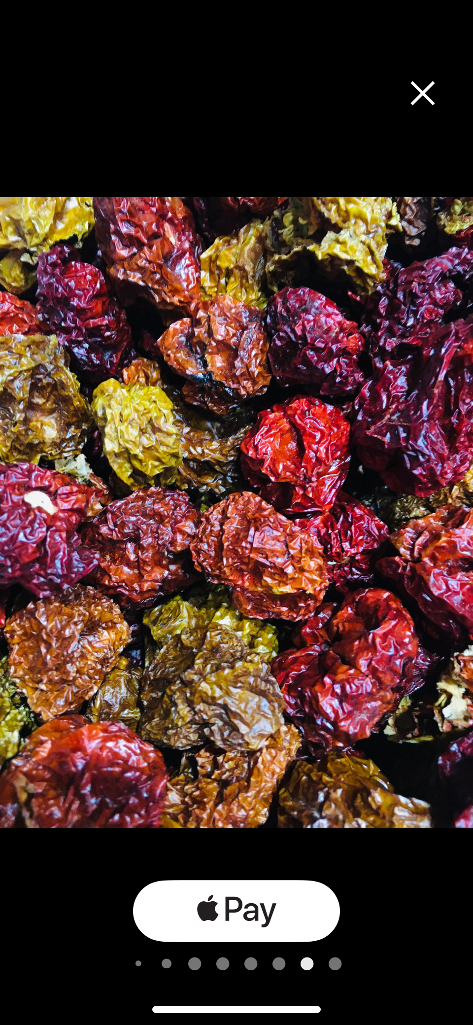 1 oz Alkaline Scotch Bonnet Peppers from Jamaica π―π²