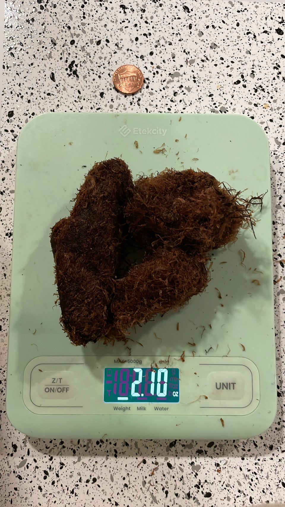 Alkaline Kalawalla (Calaguala) Root from Honduras 🇭🇳
