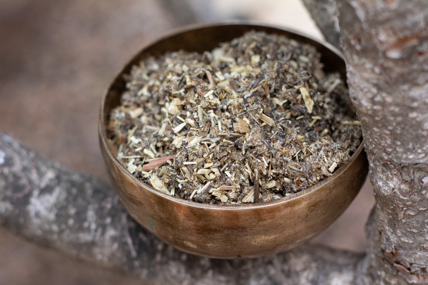 Certified Organic Mugwort (Artemisia Vulgaris) / Lucid Dream Herb