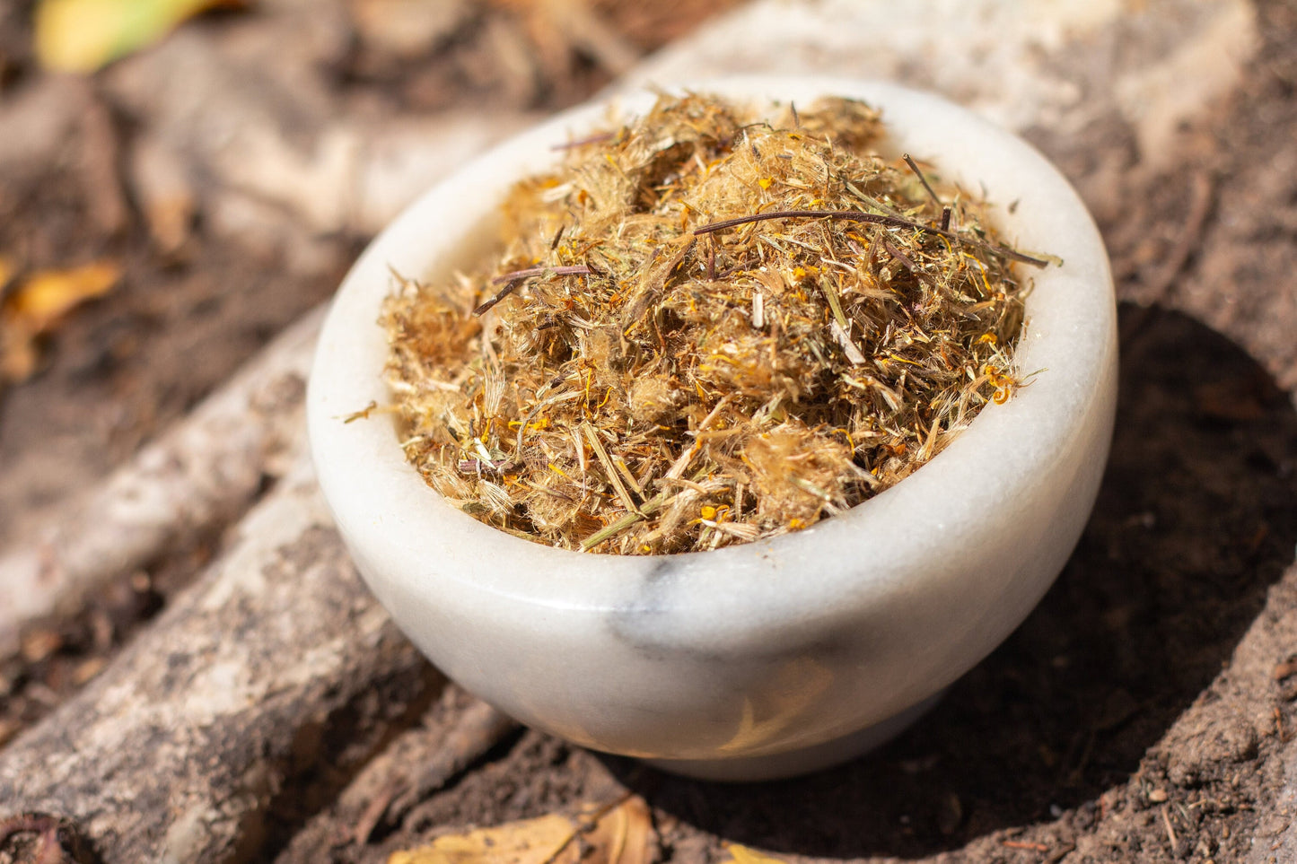 mexican arnica organic