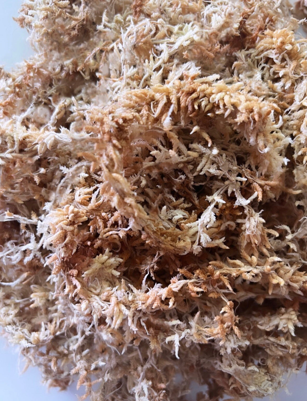 1 Qt Alkaline New Zealand Sphagnum Moss