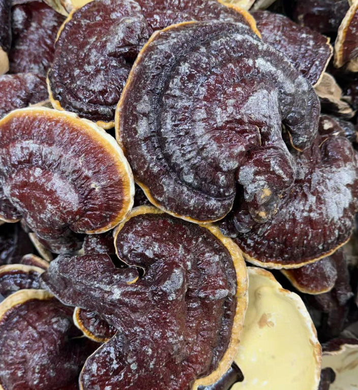 Alkaline Whole Red Reishi Mushrooms