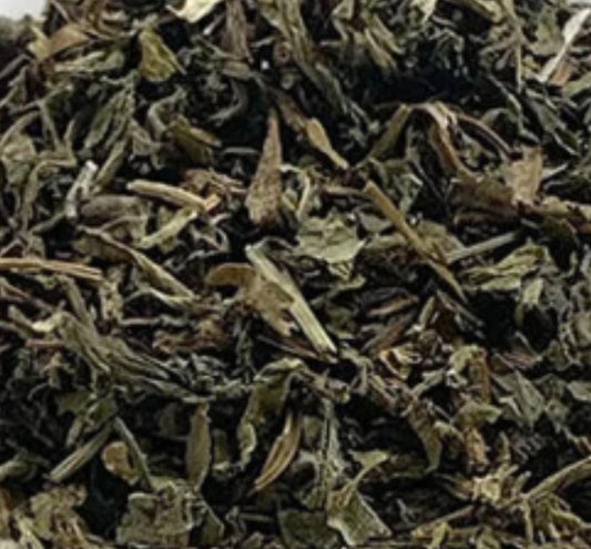 Alkaline Wild Epazote / Semi Contra from a Quiché village in Guatemala 🇬🇹