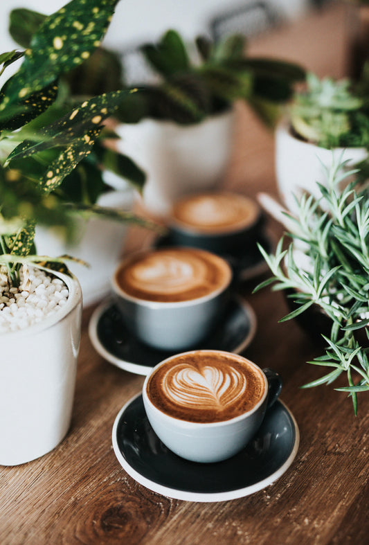 Mushroom Cafecito Coffee Blend