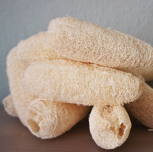 Alkaline Luffa Sponge