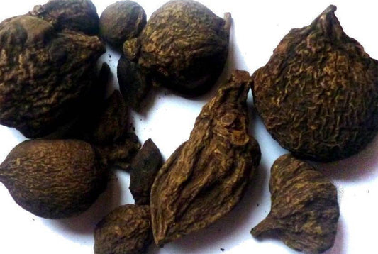 Alkaline High John the Conqueror Root | Ipomoea Jalapa