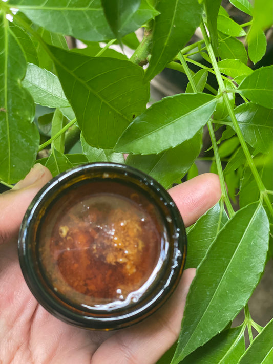 Alkaline Batana Oil from Dr. Sebi’s nephew in Honduras 🇭🇳