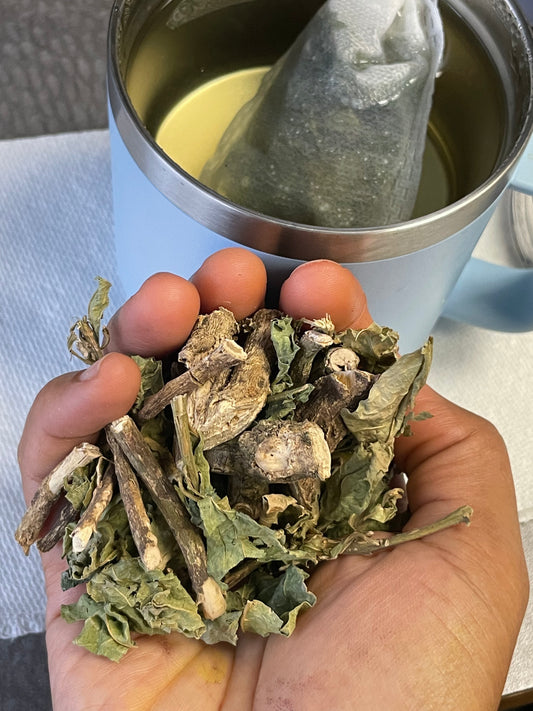 Alkaline Wild Guinea Hen Weed / Anamu from Dr. Sebi’s nephew in Honduras 🇭🇳