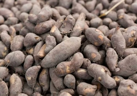 Alkaline Frafra African "Potato" Slips