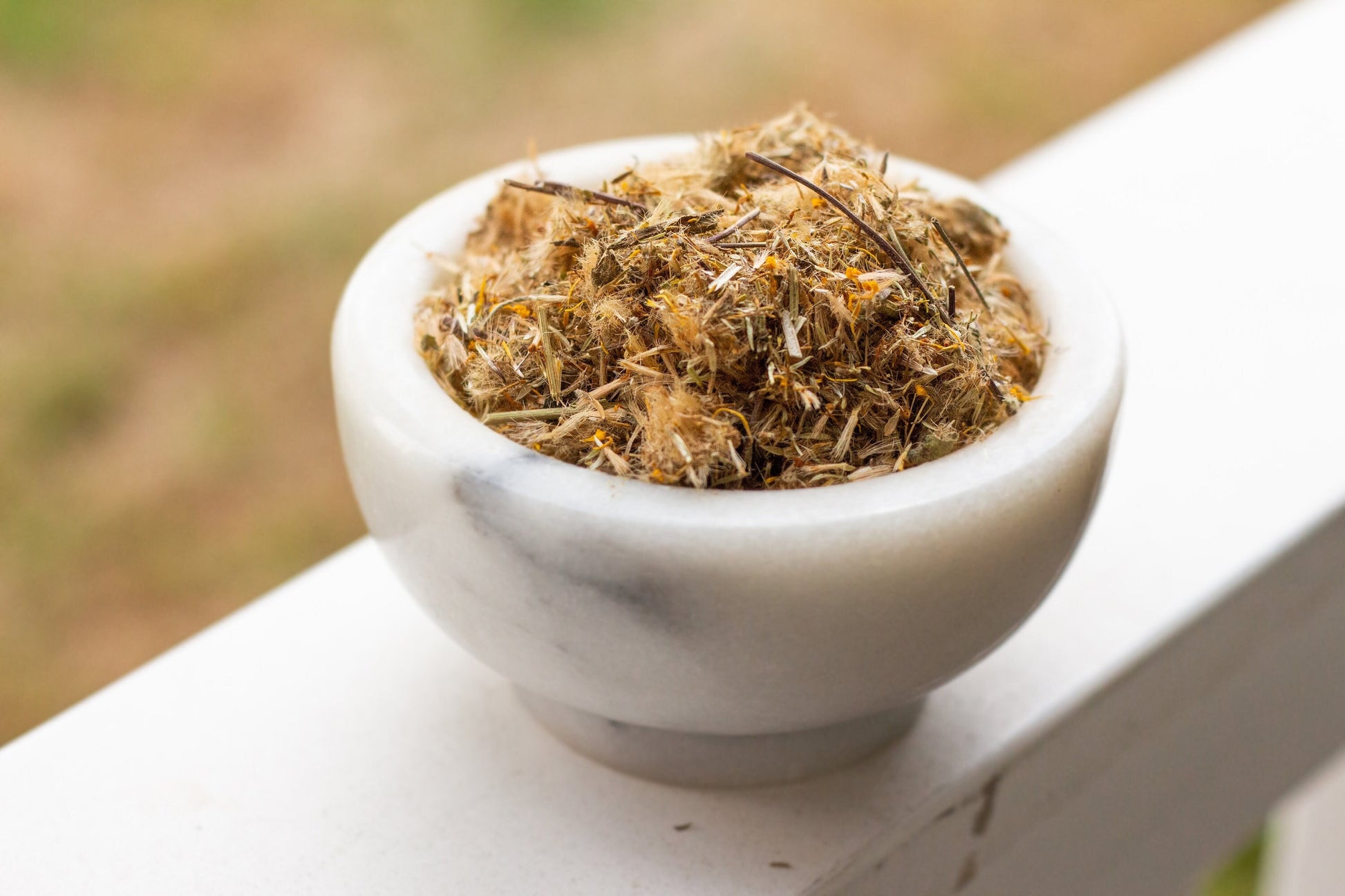 mexican arnica organic