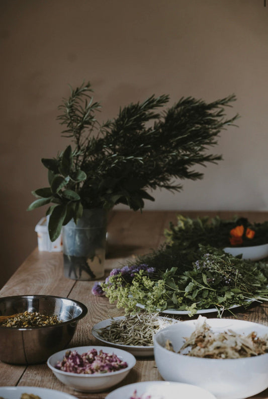 1 Hour Herbalism Course